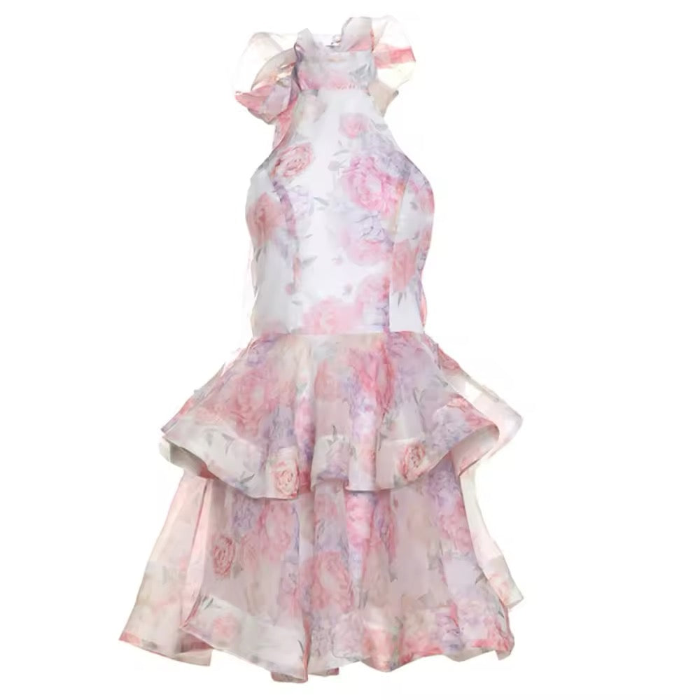 CLARA mini dress pre order