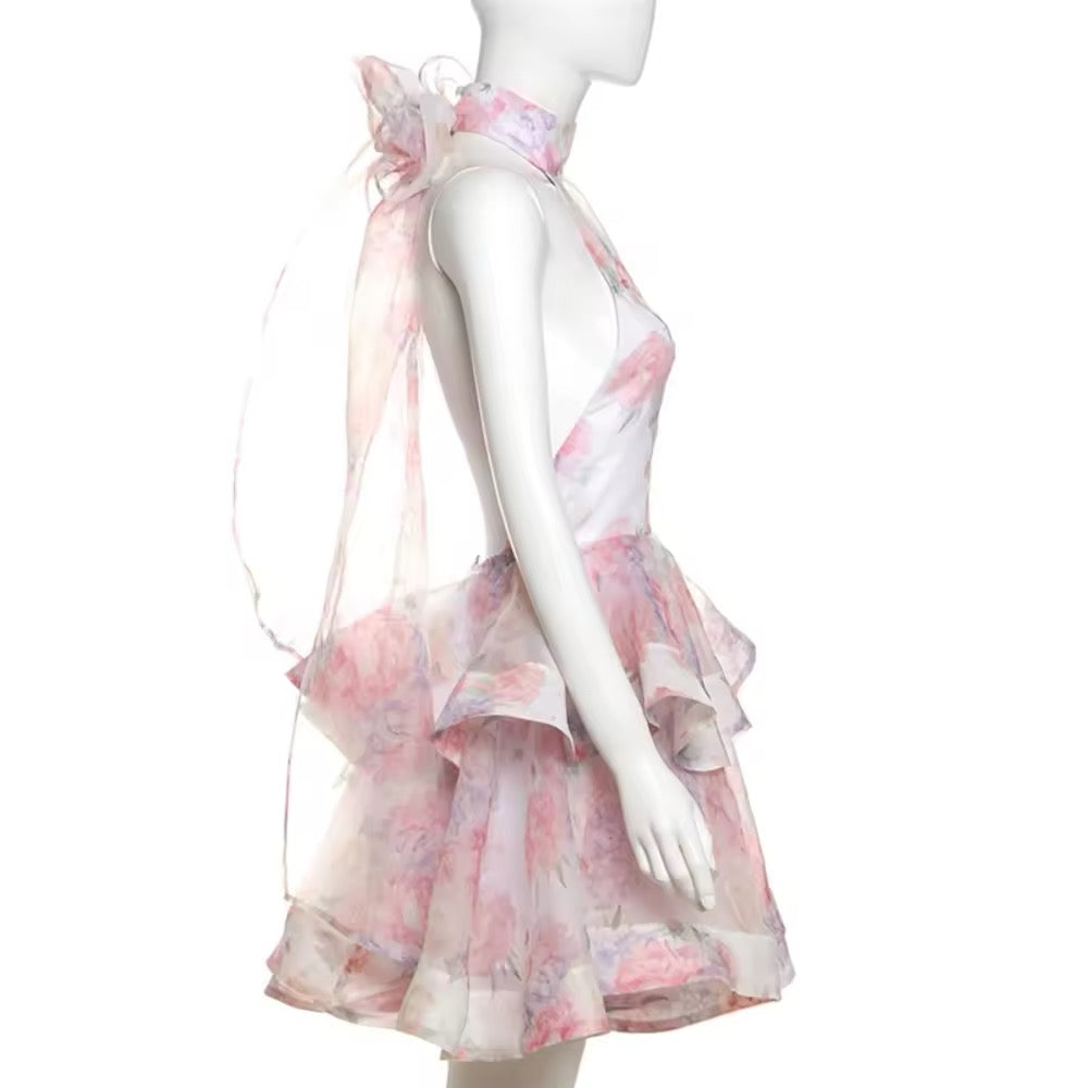 CLARA mini dress pre order
