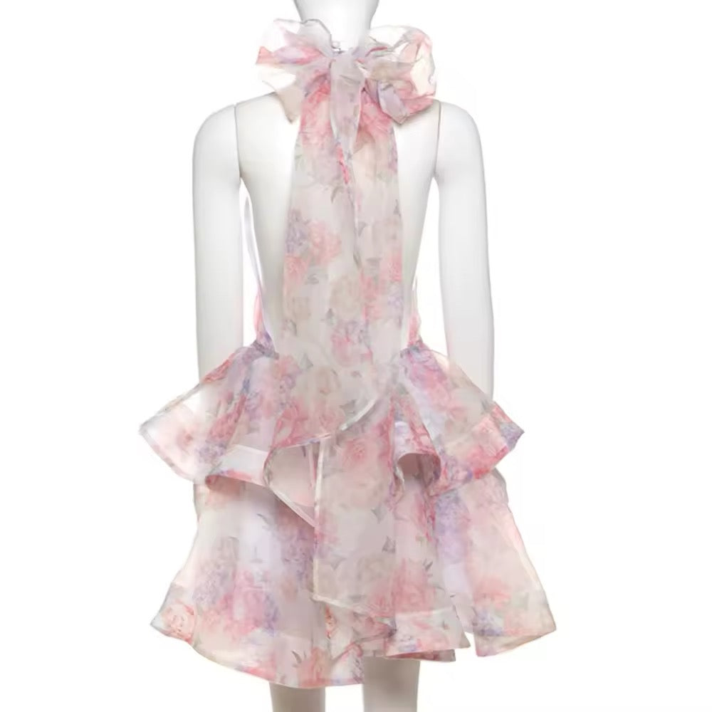 CLARA mini dress pre order